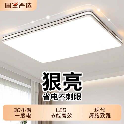 2026新款大气简约现代客厅吸顶灯