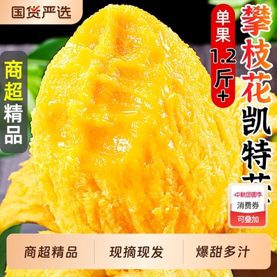 攀枝花凯特芒巨无霸单果1.2斤起