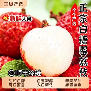 老树白糖罂荔枝新鲜摘广东茂名高州顺丰糯米笑糍水果现摘鲜果大果
