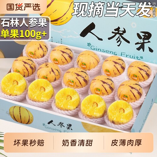 精美礼盒丨石林人参果丨新鲜水果