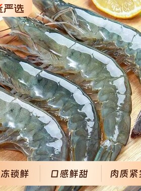 厄瓜多尔白虾大虾鲜活速冻南美白虾基围虾海虾青岛海鲜水产冷冻