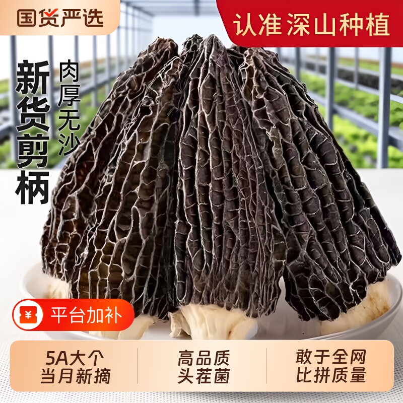 羊肚菌干货官方旗舰店云南特产野生500g牛肚蘑新鲜菌菇羊肚茵营养