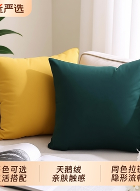 天鹅绒沙发靠背抱枕靠垫床头布艺客厅毛绒不含芯腰枕方形软装南瓜