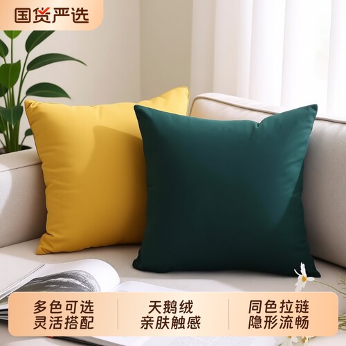 天鹅绒沙发抱枕靠背靠垫床头布艺客厅毛绒不含芯腰枕方形软装南瓜