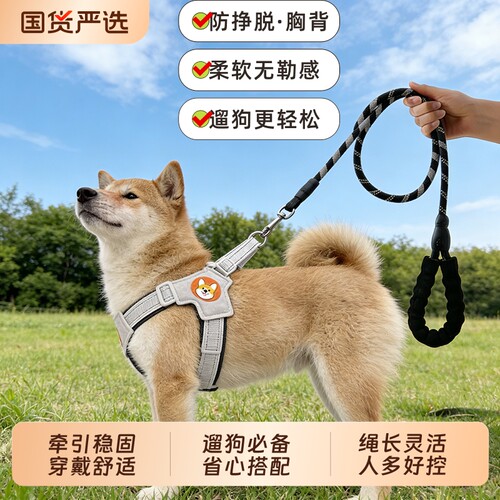 Y型防护胸背带狗狗牵引绳