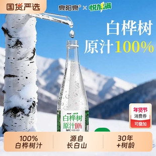 泉阳泉长白山天然100%白桦树原汁植物饮料原液本瓶装人参玻璃瓶