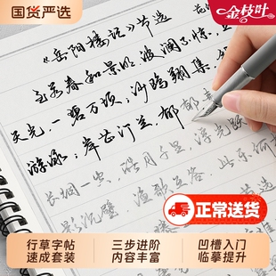 行楷行书草书字帖行草练字帖成年临摹成人练字速成钢笔硬笔书法连笔字练字本男女生专用大学生初中生高中大人常用3000字控笔训练