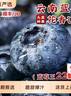 云南花香蓝莓特大新鲜水果现摘l25一斤礼盒装当季整箱官方旗舰店