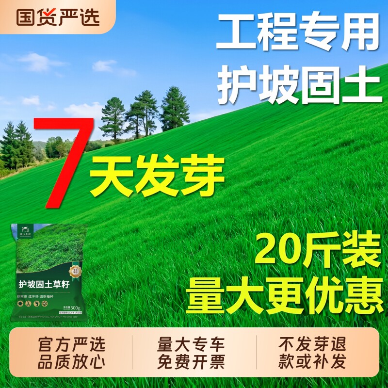 护坡固土草籽四季常青播种草坪绿化黑麦草高羊茅花卉耐热草种子