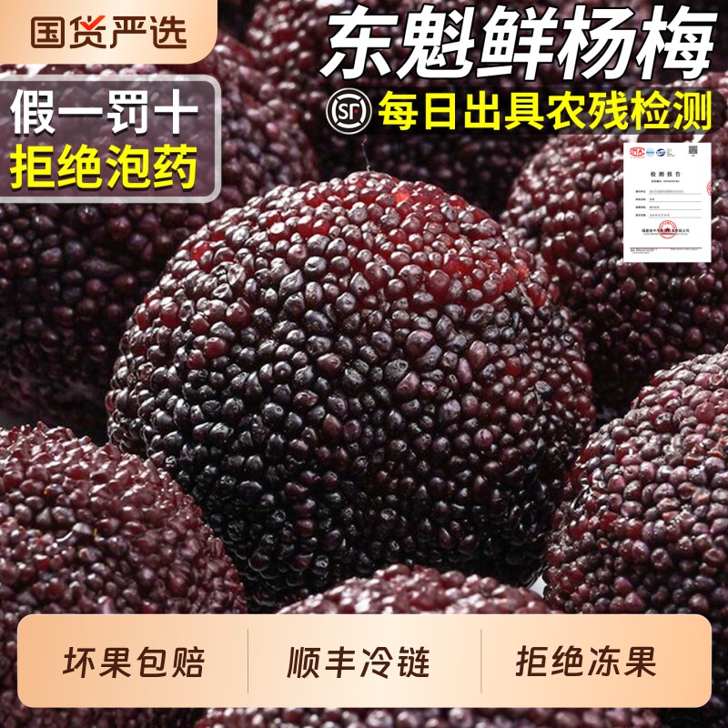 【拒绝泡药!】顺丰正宗漳州东魁鲜杨梅当季新鲜水果现摘现发包邮