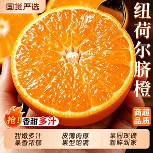 5斤！【已验货】正宗纽荷尔脐橙