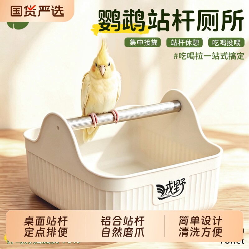【鹦鹉站杆厕所】定点训练排便图片