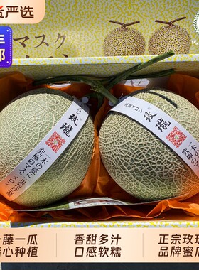 玫珑蜜瓜5斤礼盒|超4000次加购