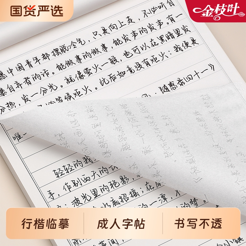行楷字帖成人练字行书速成套装