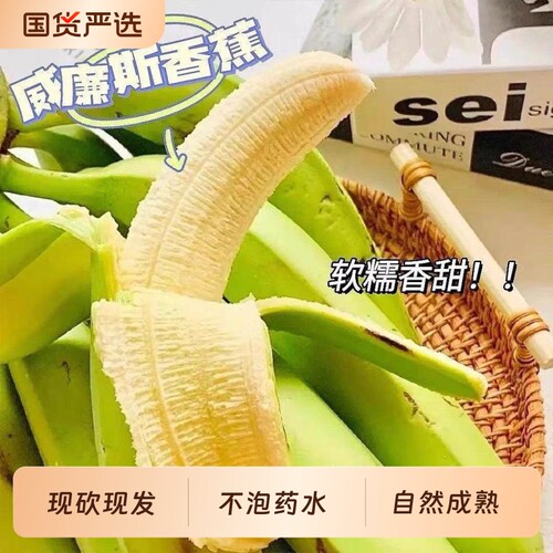广西高山青皮香蕉现摘现发自然熟香甜软糯整箱新鲜应季水果净重