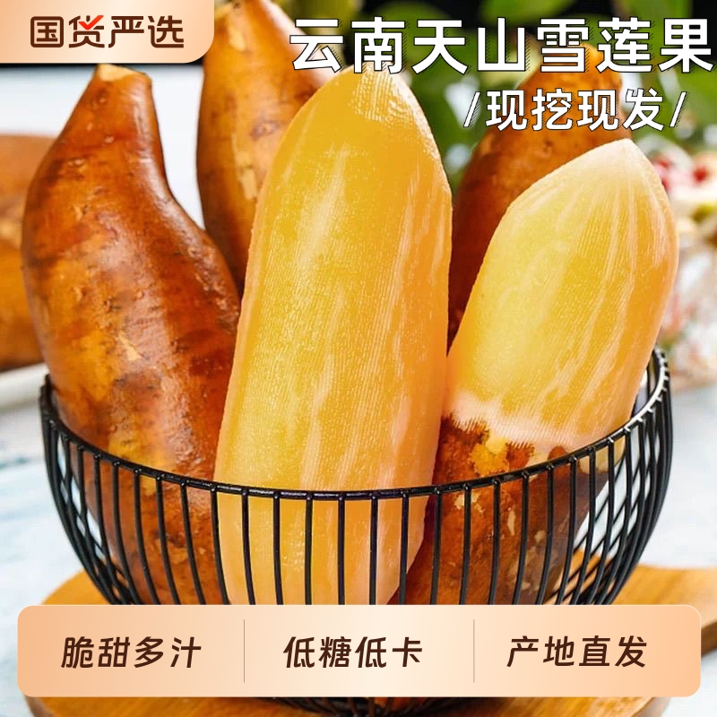 现挖现发云南天山雪莲果9斤气柱防撞黄心雪连果脆甜多汁产地直发