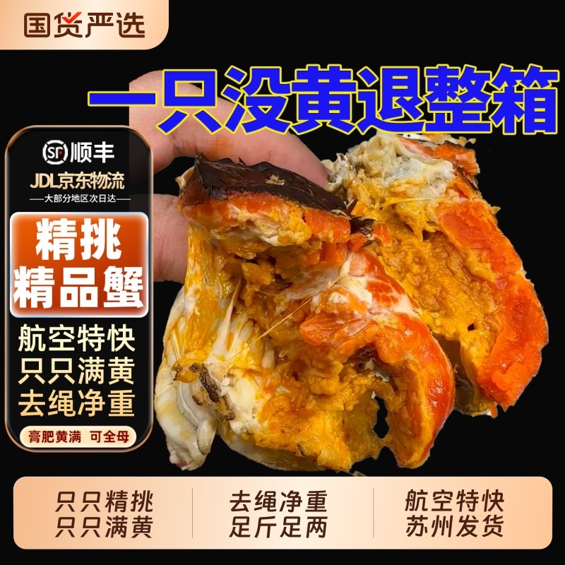 【只只挑选满黄】苏州阳澄后荡湖精品大闸蟹鲜活特大螃蟹全母5两