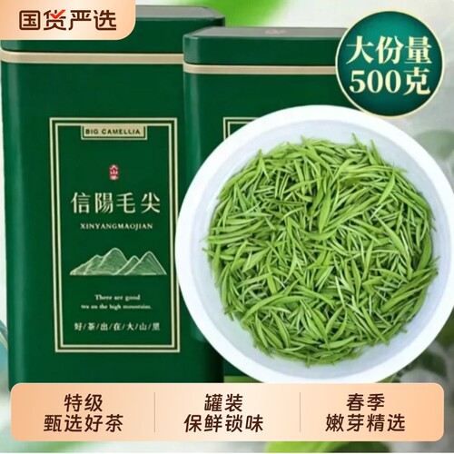 新茶毛尖2026茶叶正宗原产明前高山嫩芽尖信阳绿茶浓香型毛尖罐装
