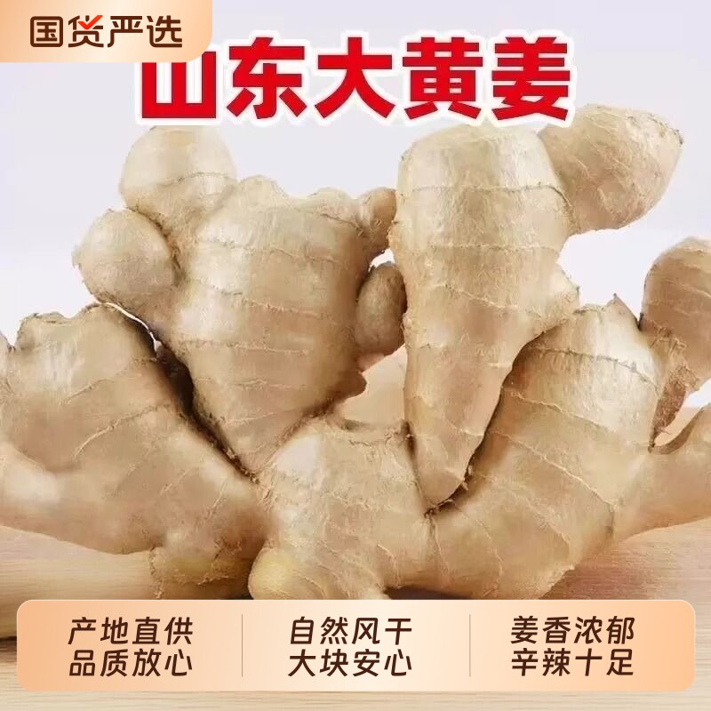 山东大姜优质生姜老姜月子姜风干姜现挖鲜姜新鲜老黄姜无残留包邮