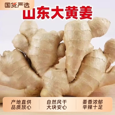 山东大姜优质生姜老姜月子姜风干姜现挖鲜姜新鲜老黄姜无残留包邮
