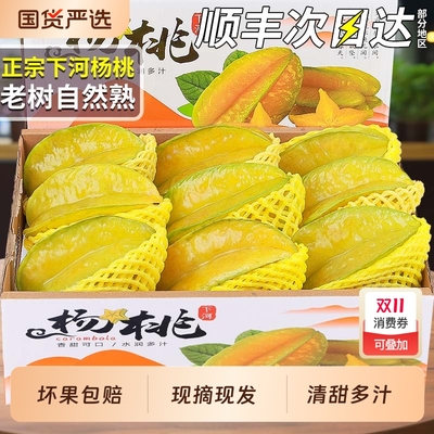 顺丰速达下河杨桃树上自然熟