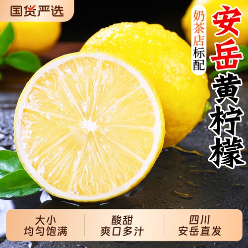 奶茶店专用！泡饮搭档黄柠檬5斤