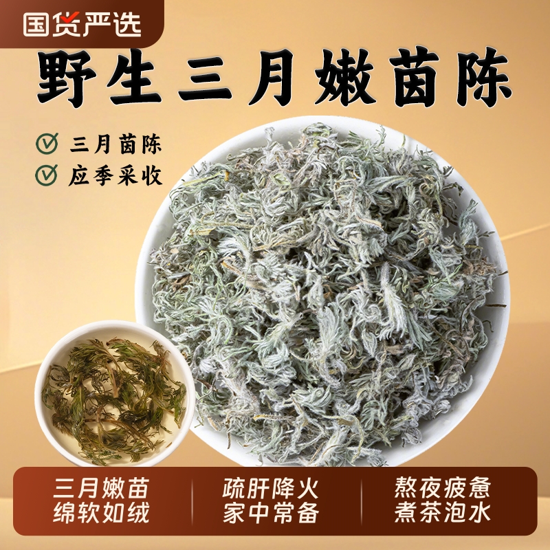 野生棉茵陈中药材新货正品白蒿新鲜整株棉茵陈三月嫩茵陈蒿草药浴
