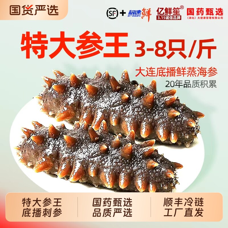 大连海参即食刺参鲜活辽参年货野生海生500g特大号单个装新鲜底播
