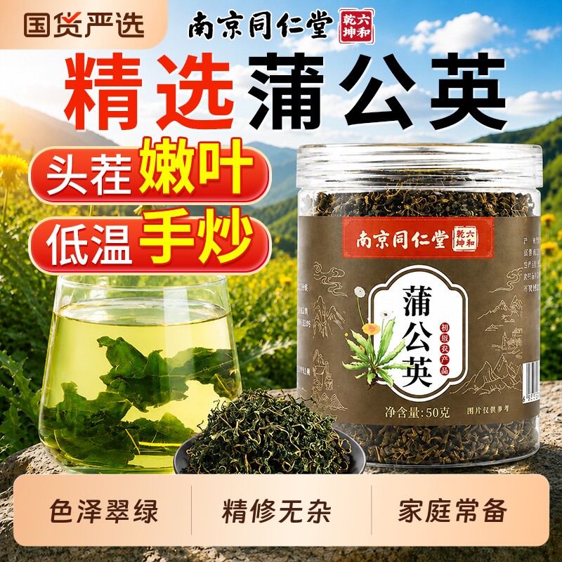 蒲公英茶养生茶泡水喝正品旗舰店图片