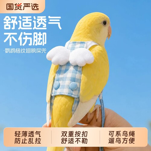 【鹦鹉屎兜飞行服】舒适透气不闷