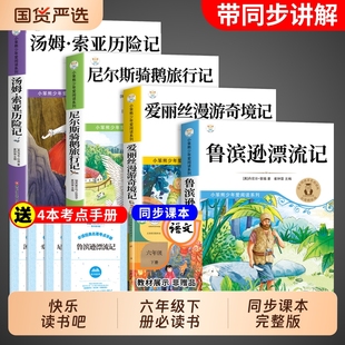 全套4册 鲁滨逊漂流记六年级下册必读正版的课外书快乐读书吧6六下阅读书籍汤姆索亚历险记尼尔斯骑鹅旅行记爱丽丝漫游奇境鲁滨孙