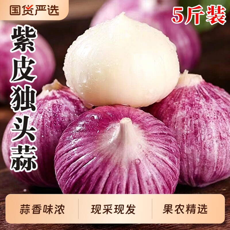 正宗紫皮独头蒜现挖现发蒜味十足