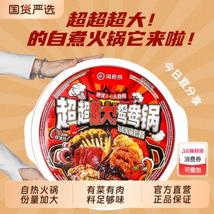 海底捞自煮自热超大鸳鸯火锅麻辣烫泡面粉丝麻辣嫩牛番茄方便速食