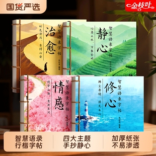 智慧语录字帖女士静心练字帖成人练字大人行楷手写体行书女生字体漂亮楷书专用反复使用钢笔每日一练字贴硬笔书法练字本练习治愈