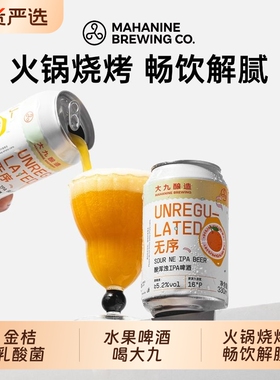 大九酿造无序酸浑浊IPA啤酒330ml*2精酿鲜啤易拉罐装水果中浓度