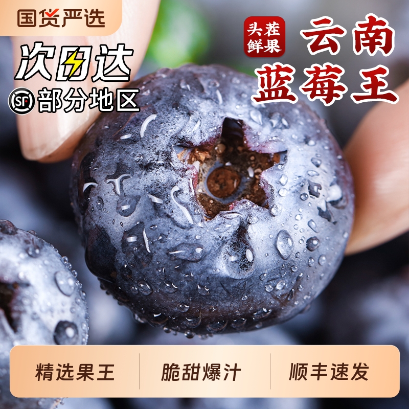 云南蓝莓鲜果特大礼盒当季高山L25花香新鲜水果孕妇怡颗蓝梅顺丰