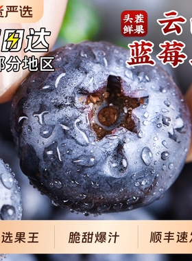 云南蓝莓鲜果特大礼盒当季高山L25花香新鲜水果孕妇怡颗蓝梅顺丰