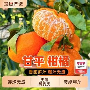 正宗四川甘平柑橘皇后当季现摘新鲜水果桔子爱媛28号果冻橙子礼盒