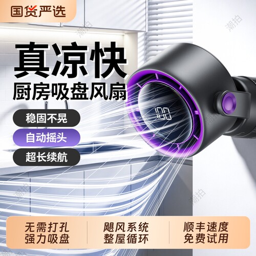 【爆款热销】厨房厕所壁挂风扇