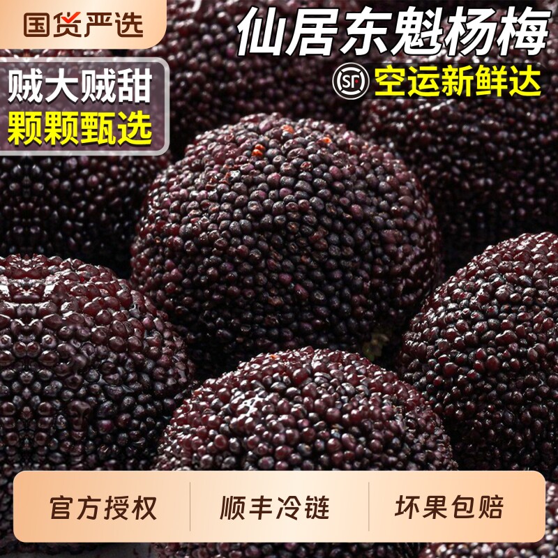 顺丰正宗仙居东魁杨梅鲜果现摘现发当季新鲜整箱包邮鲜杨梅泡药