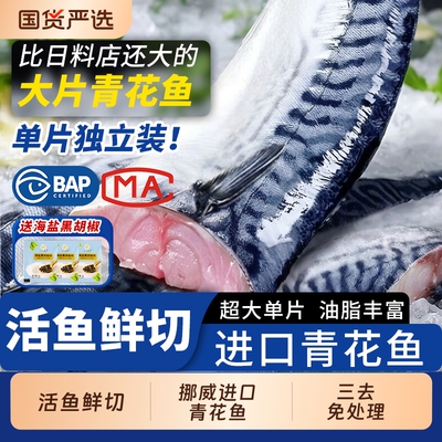 青花鱼挪威进口鲭鱼青花鱼片半成品日式盐渍新鲜烤青占鱼商用冷冻