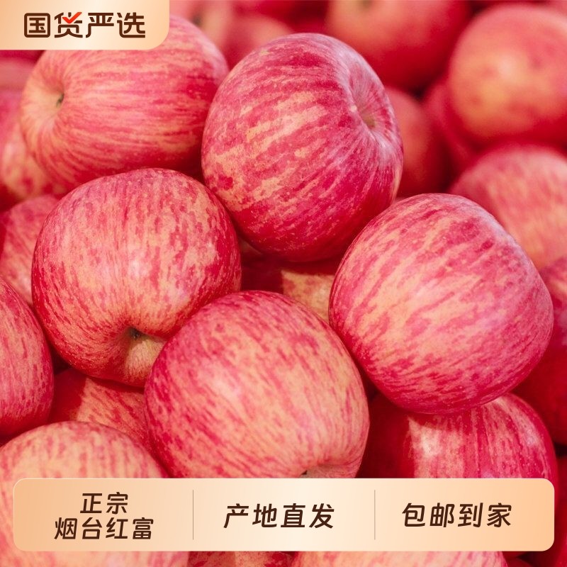 正宗山东烟台红富士苹果新鲜水果当季栖霞大果现摘产地直发脆甜