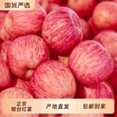 正宗山东烟台红富士苹果新鲜水果当季 栖霞产地直发脆甜精品超大