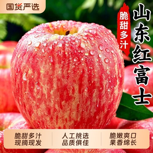 正宗山东红富士苹果新鲜水果