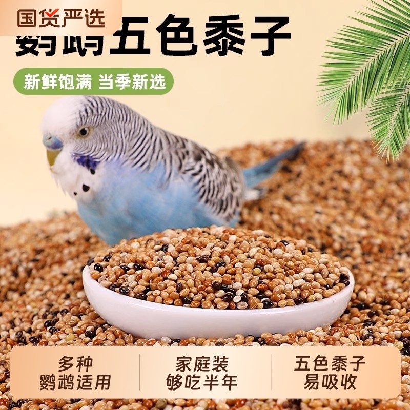 鹦鹉鸟粮饲料虎皮鹦鹉专用饲料玄凤牡丹鸟食五色黍子谷子中小鹦鹉
