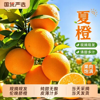 湖北夏橙脐橙新鲜时令应季整箱包邮赣冰糖南水果手剥果冻甜橙橙子