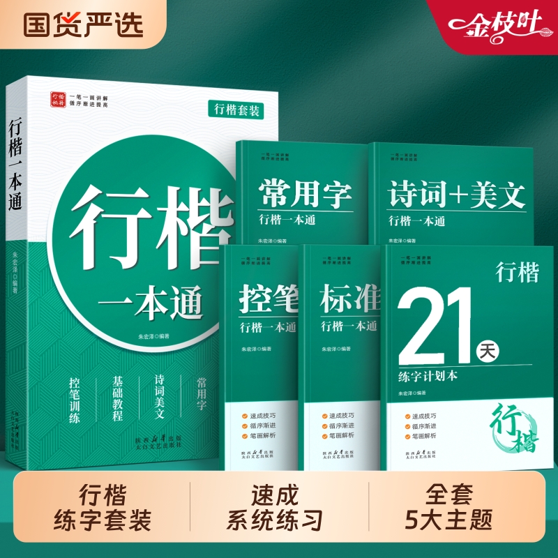 行楷一本通字帖成人练字行书套装