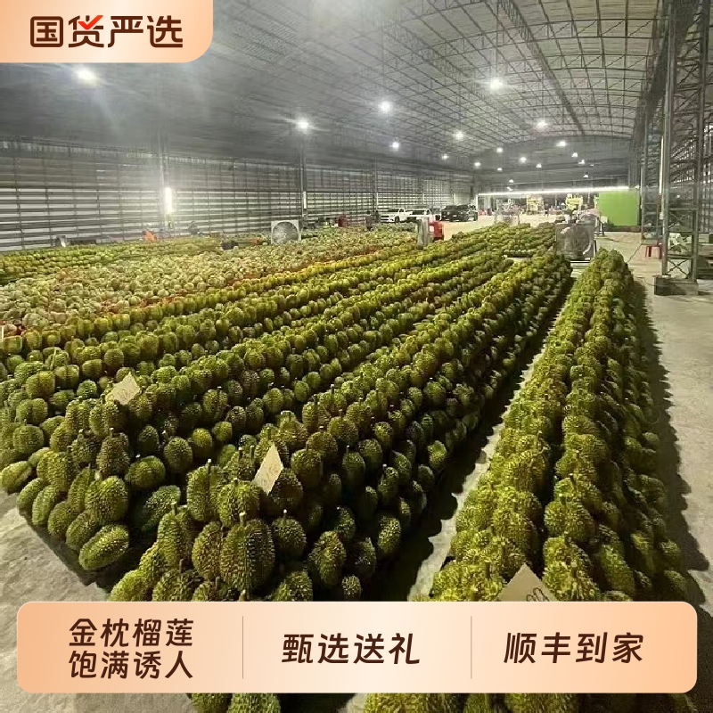 金枕榴莲新鲜果【中秋节顺丰多地次日达】带壳巴掌金枕头泰国水果
