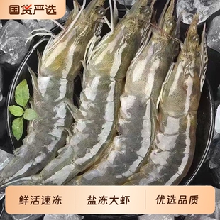 青岛厄瓜多尔大虾14-16cm