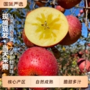 包邮 正宗四川大凉山盐源冰糖心丑苹果2025新鲜水果当季 8斤整箱